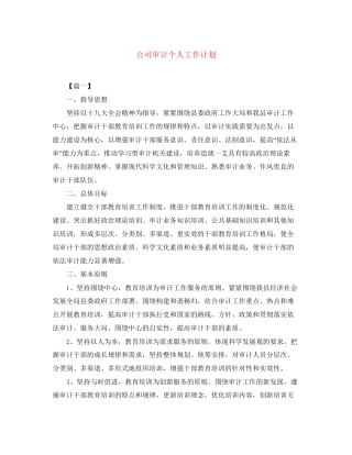 公司审计个人工作计划