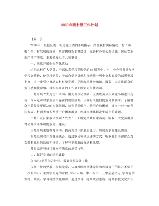 2020年度村级工作计划