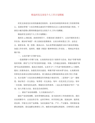 精选村党支部党个人工作计划模板