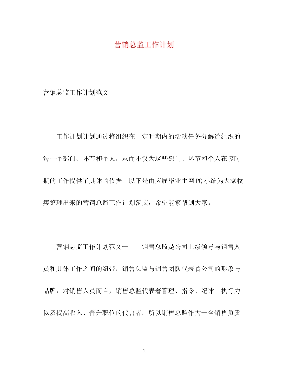 营销总监工作计划2_第1页