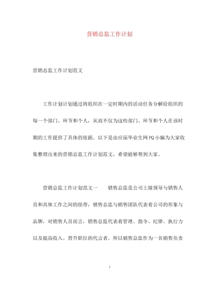 营销总监工作计划2