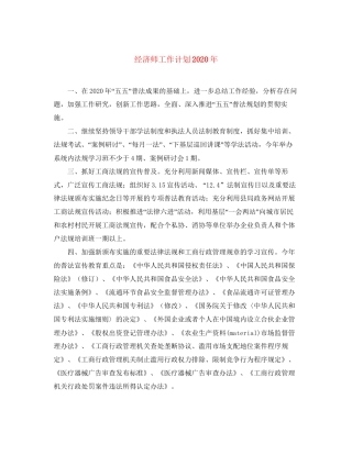 经济师工作计划年