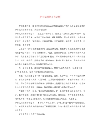 护士试用期工作计划