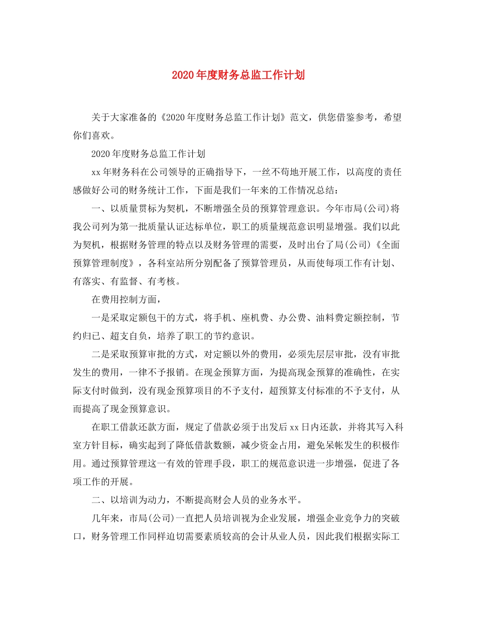 2020年度财务总监工作计划_第1页