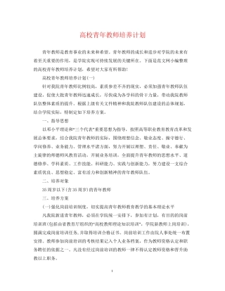 高校青年教师培养计划