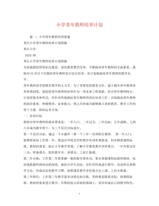 小学青年教师培养计划