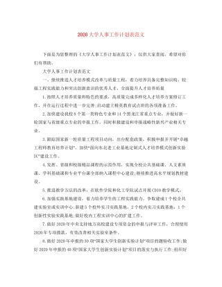 大学人事工作计划表范文