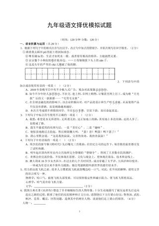 九年级语文择优模拟试题