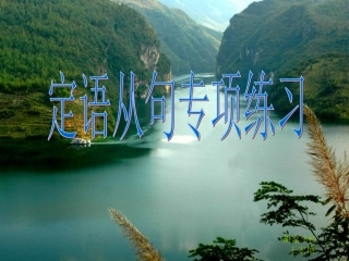 定语从句专项练习