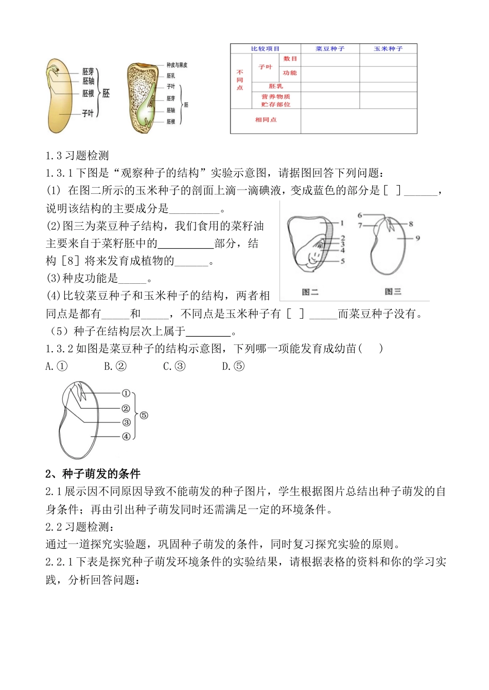 种子萌发形成幼1_第2页