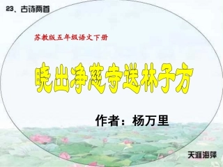 晓出净慈寺送林子方