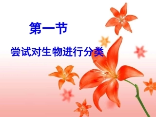 尝试对生物进行分类改