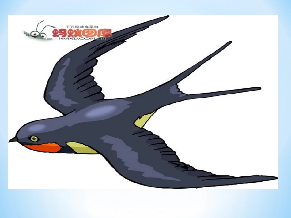 《小燕子学飞》课件_第2页