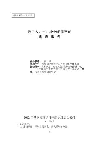 关于大中小锅炉效率的调查报告高锋