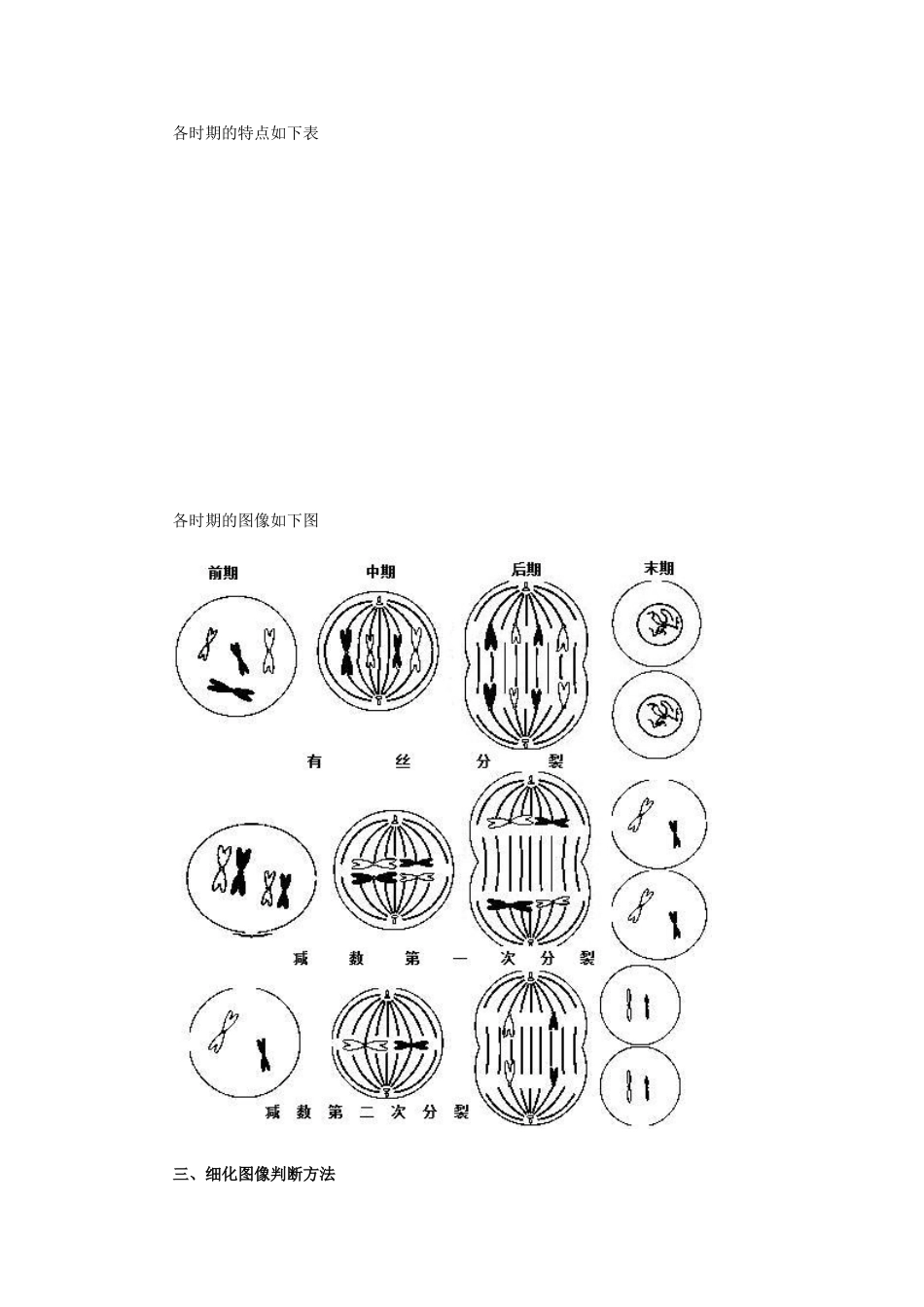 有丝分裂和减数分裂图像识别及有关题型的分析归类_第2页