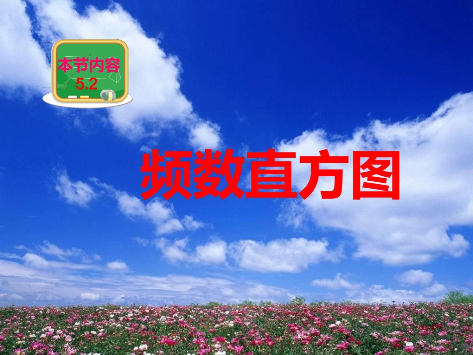 （编）52频数直方图_第2页