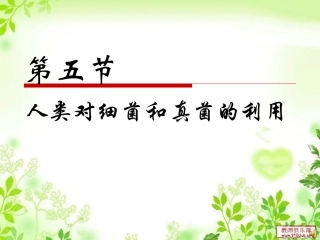 八5-4-5人类对细菌和真菌的利用