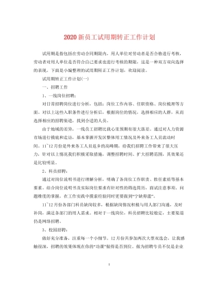 新员工试用期转正工作计划