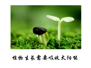 追寻守恒量课件