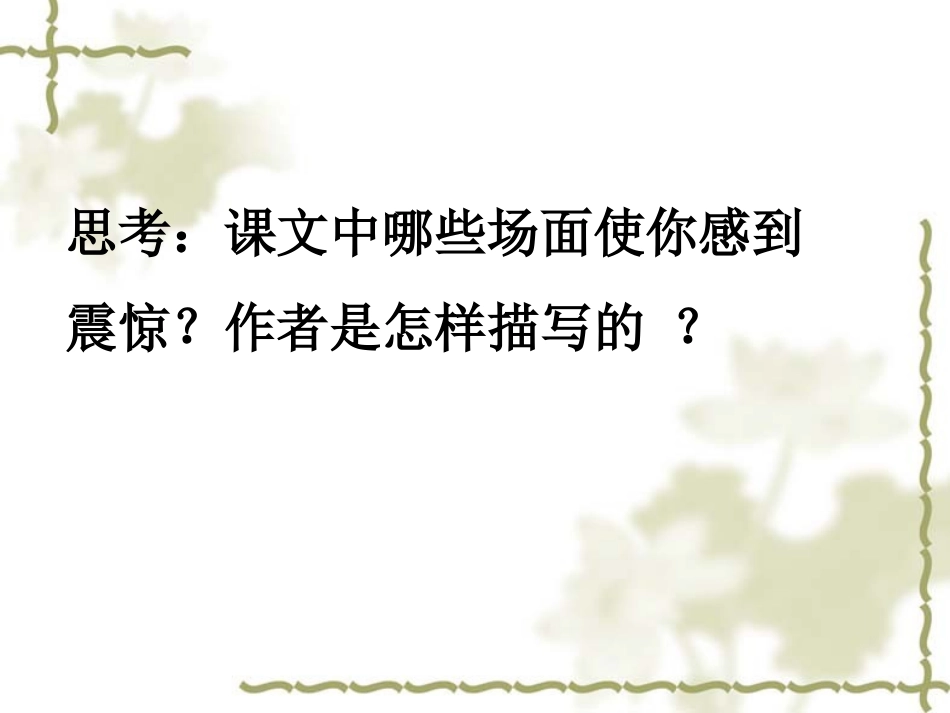 大自然的秘密课件_第3页