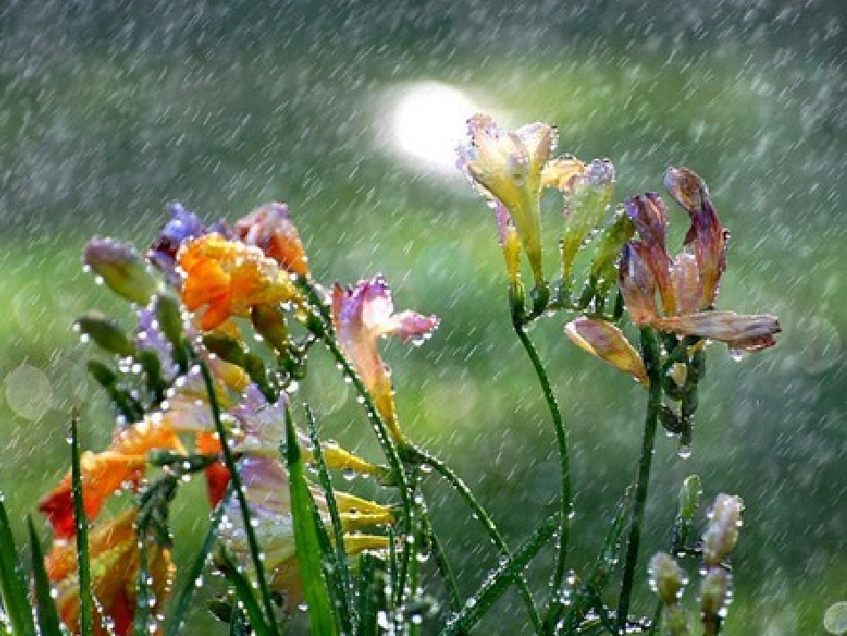 春雨的色彩课件PPT_第2页