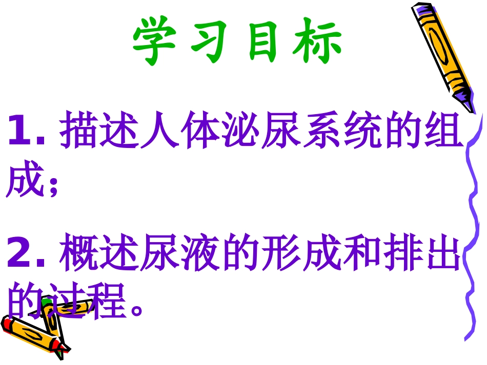 生物七年级下人教新课标51尿的形成和排出_第2页