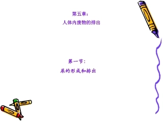 生物七年级下人教新课标51尿的形成和排出