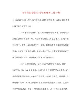 电子有限责任公司年度财务工作计划
