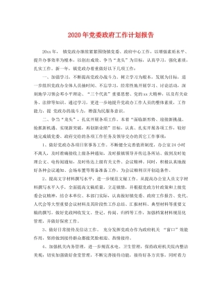 2020年党委政府工作计划报告