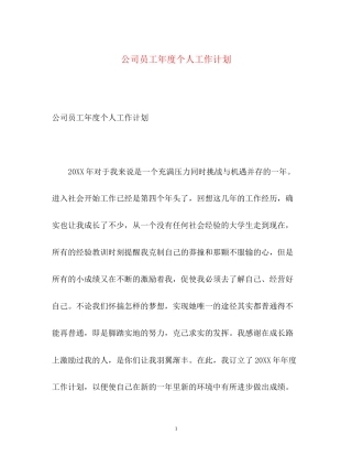公司员工年度个人工作计划