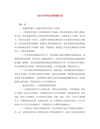 2020年农村支部党建计划