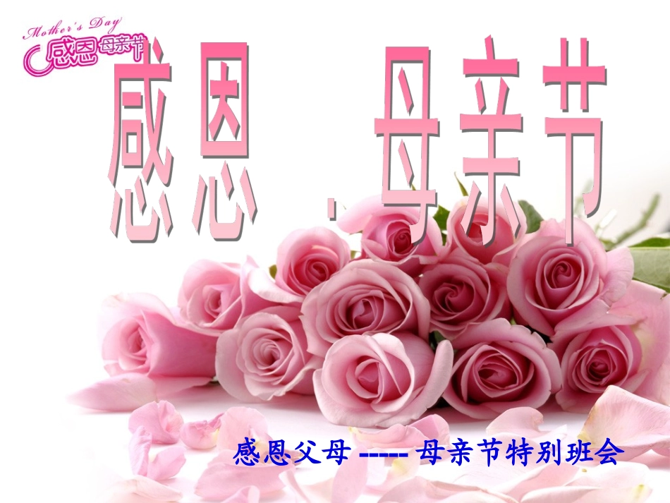 母亲节主题班会课件 (2)_第1页
