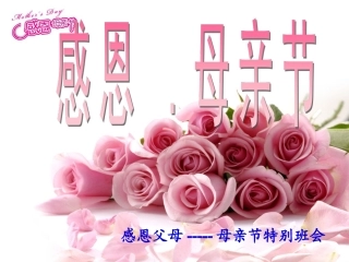 母亲节主题班会课件 (2)
