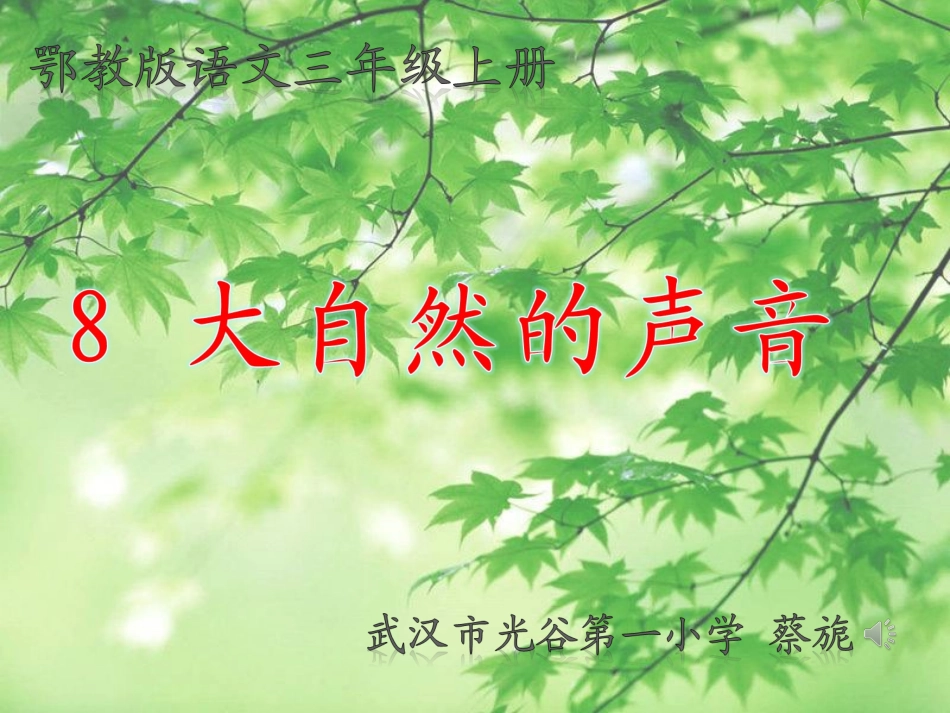 大自然的声音_第3页