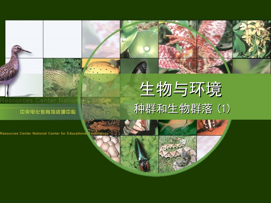 种群和生物群落(1)_第1页