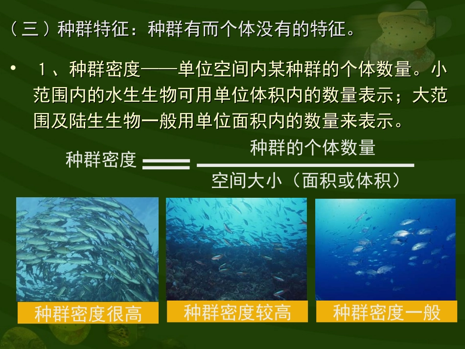 种群和生物群落(1)_第3页
