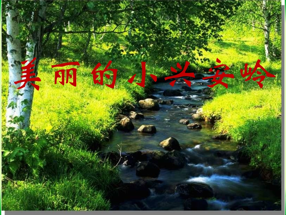 《美丽的小兴安岭》教学课件（自学提示）_第1页