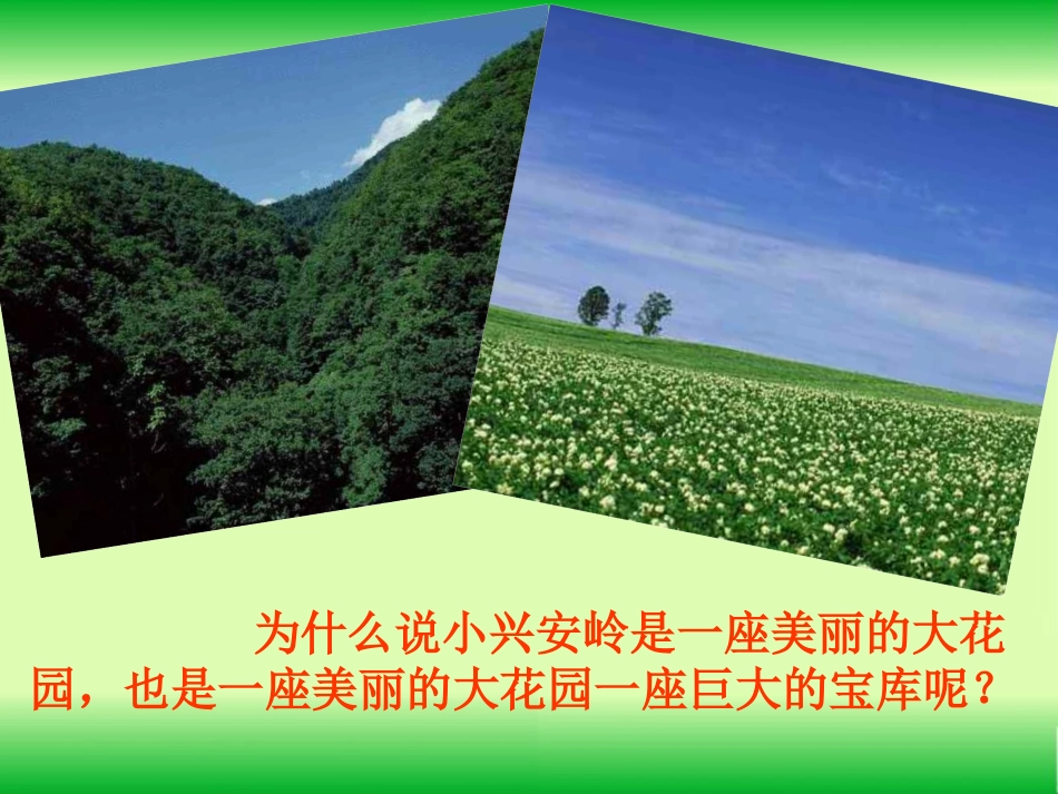 《美丽的小兴安岭》教学课件（自学提示）_第2页