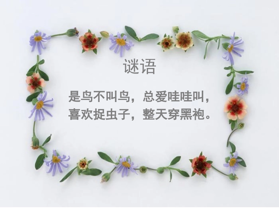 小乌鸦爱妈妈 (2)_第2页