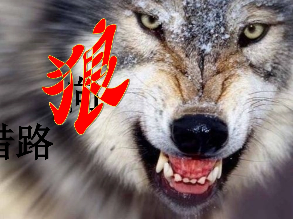 向狼借路 (2)_第1页