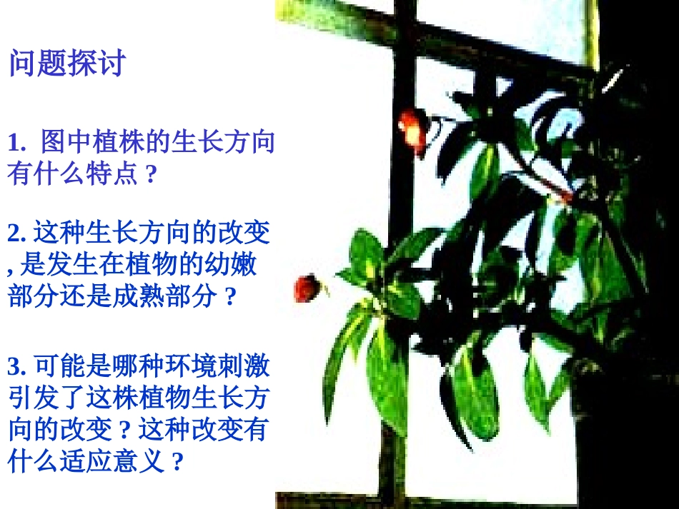 植物生长素的发现 (2)_第2页