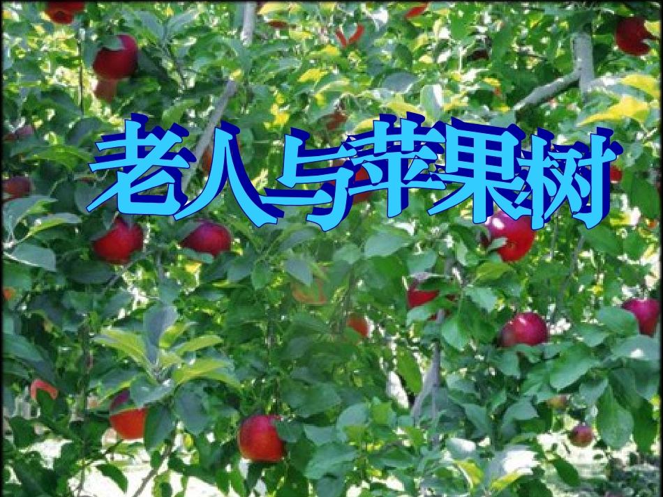 苹果树与老人_第1页