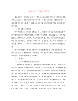 县农业局下一年工作计划范文