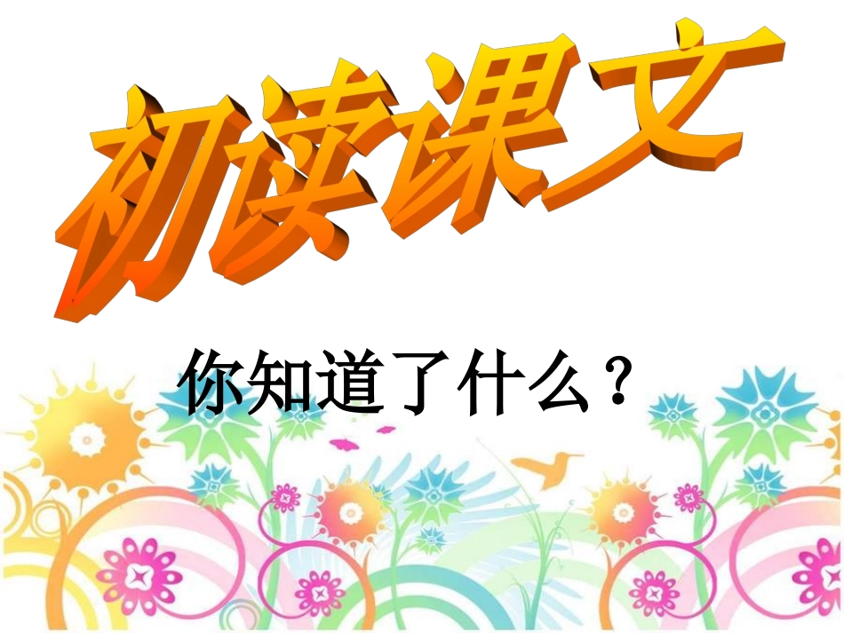 我的影子自制_第3页