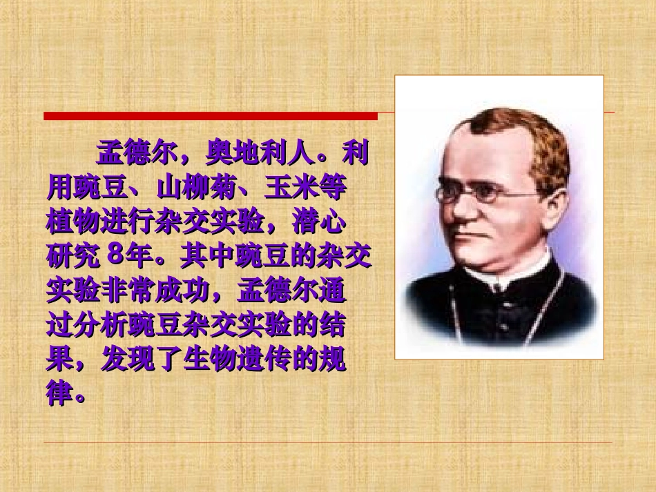 孟德尔的豌豆杂交实验一_第2页