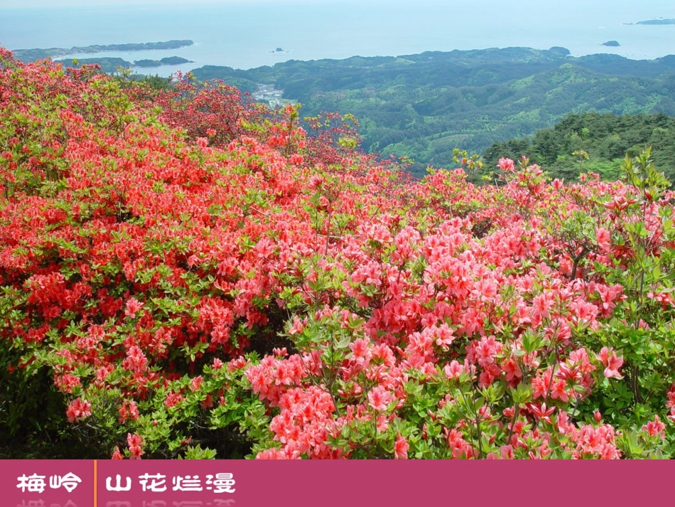 《春日》课件 (2)_第3页