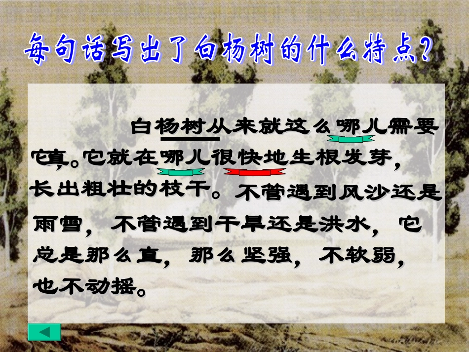 《白杨》教学参考课件二_第2页