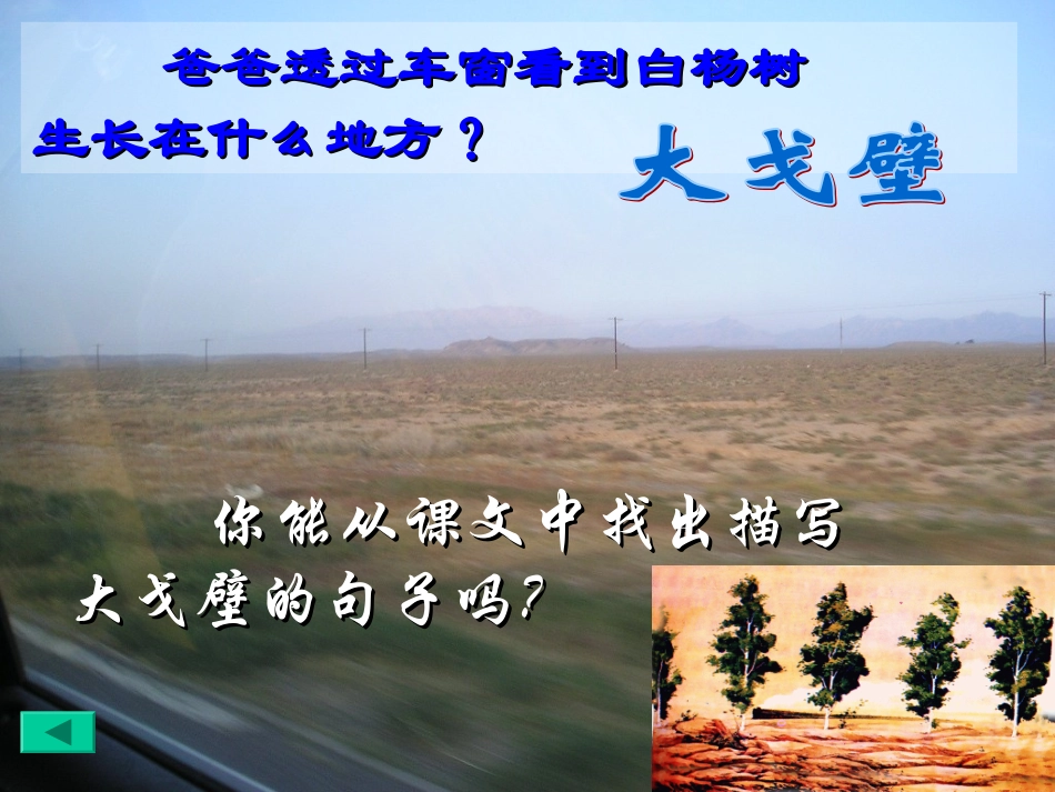 《白杨》教学参考课件二_第3页