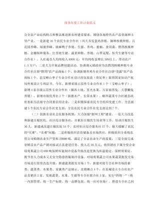 商务年度工作计划范文