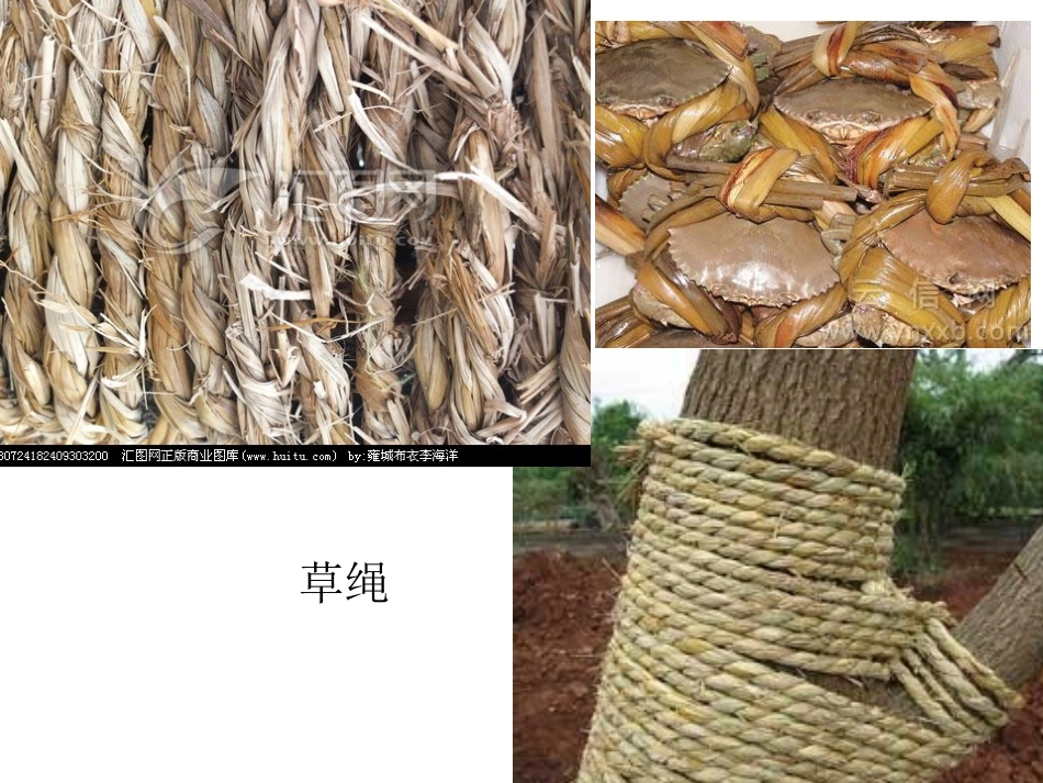 各种各样的绳子_第3页